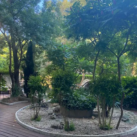 Harmony 3 Jungle с одной спальней